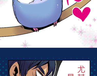 小鸚鵡飼養日記 第7話