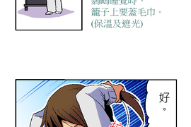 小鸚鵡飼養日記 第8話