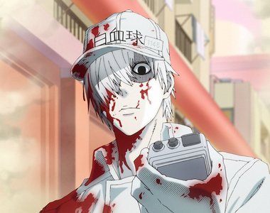 細胞擬人化《工作細胞》決定動畫化了啊~今年暑假就可以看到白血球哥哥殺遍壞菌