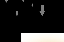 求愛逆襲 第45話