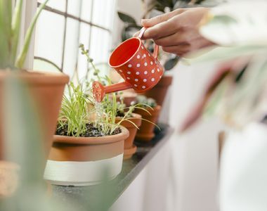 老公每天照做《愛妻的遺言》 但結局讓人又哭又笑......