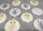 羊毛氈《倉鼠杯墊》稍作改良更加可愛~可惡想入手啊啊啊 羊毛氈《倉鼠杯墊》稍作改良更加可愛~可惡想入手啊啊啊