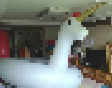 上網買《獨角獸游泳圈》超狂大小讓網友收到實品後大傻眼w