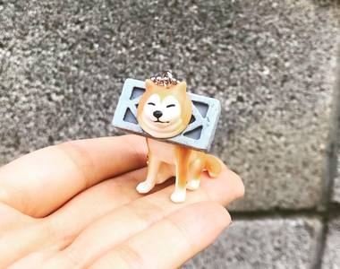 《治癒系扭蛋》「被卡住的柴犬」怎麼老卡在這些奇怪的地方啊XD