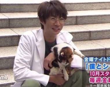 秋季日劇《相葉雅紀》變身獸醫 滿滿毛小孩的終極療癒日劇❤