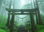 日本奇幻絕景《上色見熊野座神社》宛如通往異世界的入口一般... 日本奇幻絕景《上色見熊野座神社》宛如通往異世界的入口一般...