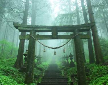 日本奇幻絕景《上色見熊野座神社》宛如通往異世界的入口一般...