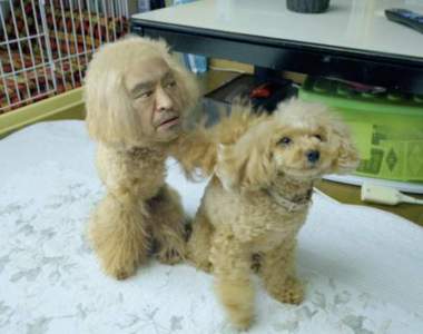 【有片】我看了什麼?Amazon x《松本人志》新廣告化身「人面犬」,求觀眾心理陰影面積…