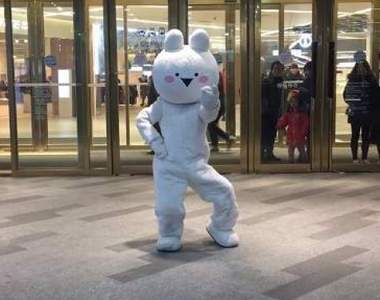 這舞蹈有毒《愛跳舞的兔子》超魔性舞蹈讓人笑到美叮美噹(￣▽￣)