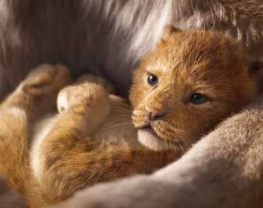 【有片】迪士尼《獅子王The Lion King》沒有真人的真人版電影前導預告✰經典畫面神還原✰