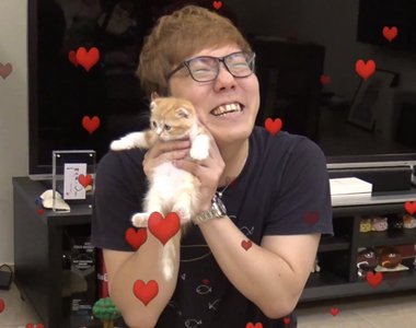 HIKAKIN大炎上《為什麼不以收養代替購買》事實上收養一點都不簡單啊……