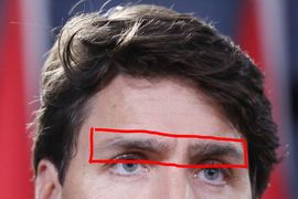 加拿大帥哥總理假眉毛掉下來 外國網友稱為《杜魯多之眉》事件