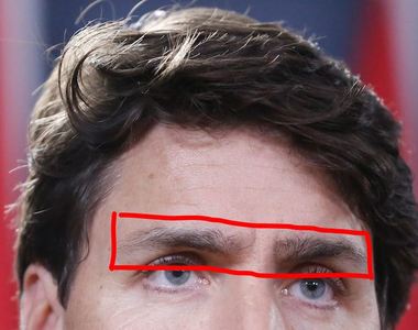 加拿大帥哥總理假眉毛掉下來 外國網友稱為《杜魯多之眉》事件