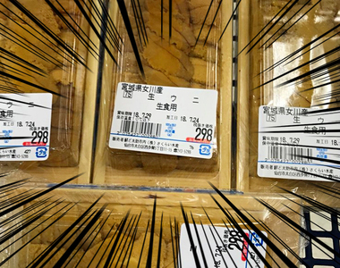 【推特瘋傳】宮城縣漁場大量繁殖《海膽》一盒只賣298円?!網友:我要去吃到痛風