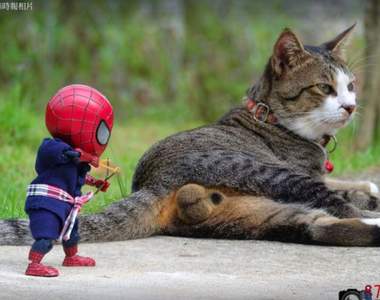《貓咪蛋蛋》蜘蛛人小壞壞你想幹嘛快住手