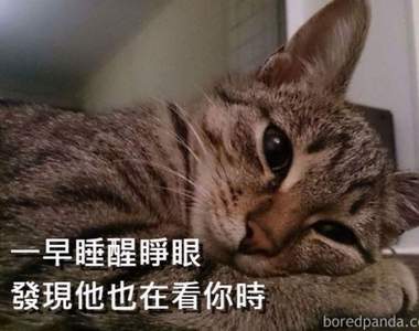 這畫面超傳神《用一張圖說明戀愛狀況》這次看了不生氣反而好羨慕w