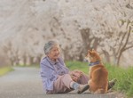 極度溫馨《YASUTO 攝影師》記錄下《奶奶與柴犬》還有大自然的超級美照 極度溫馨《YASUTO 攝影師》記錄下《奶奶與柴犬》還有大自然的超級美照