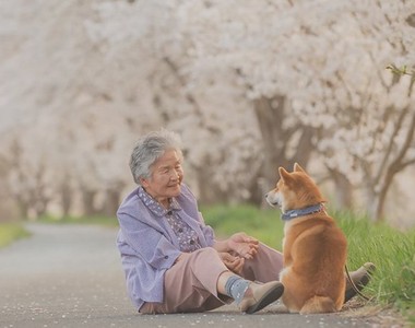 極度溫馨《YASUTO 攝影師》記錄下《奶奶與柴犬》還有大自然的超級美照