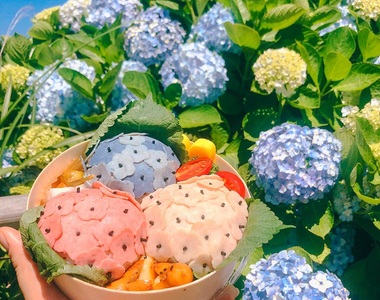 絕美♥社群打卡美食《繡球花便當》比真花還美的便當只有「這裡」買的到唷~
