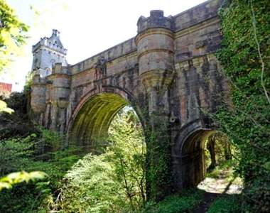 好可怕系列《狗狗自殺橋》是什麼原因讓六百多隻狗都從這裡跳下去...