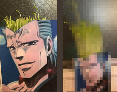 《小豆苗培育計畫》當成波魯納雷夫的頭髮天天看著它長大