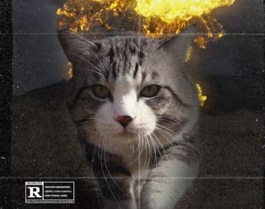 《野貓喵吉的PS改圖大戰》喵的勒網友的創意跟火山一樣大爆發