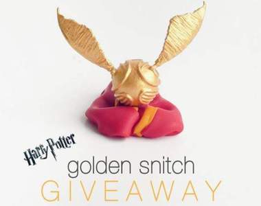 比大拇指還小《袖珍款哈利波特全系列》雕功太精細只能跪著看了