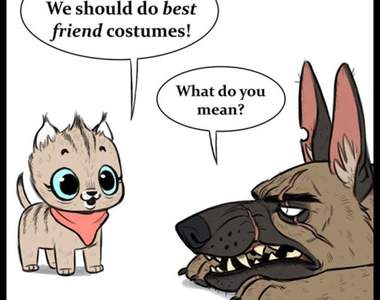 《退役軍犬與嬌小家貓》萬聖節篇 今年一起變裝好嗎?喵ΦωΦ