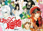 細胞擬人動畫作品《工作細胞》公布聲優名單 紅血球是花澤香菜♡ 細胞擬人動畫作品《工作細胞》公布聲優名單 紅血球是花澤香菜♡