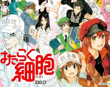 細胞擬人動畫作品《工作細胞》公布聲優名單 紅血球是花澤香菜♡