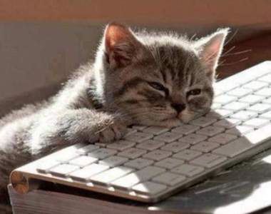 這共鳴感也太強《懶人的生活寫照》懶不是我的藉口是我的生活宗旨(光)