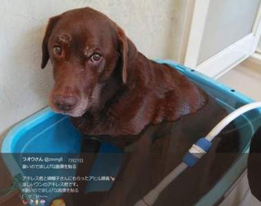 《涼感圖片大募集》炎熱的夏天只要是感覺冰涼的不管什麼都好啦