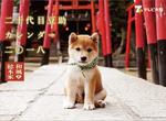 《麻生美代子代表作》疼愛柴犬豆助的奶奶 日本職人好吃驚的靈魂配音…… 《麻生美代子代表作》疼愛柴犬豆助的奶奶 日本職人好吃驚的靈魂配音……