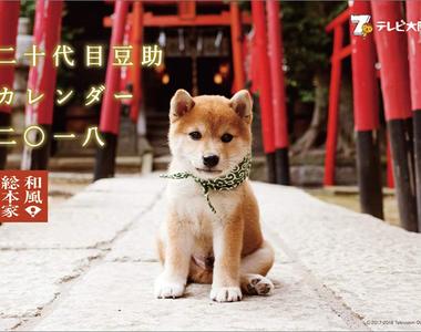 《麻生美代子代表作》疼愛柴犬豆助的奶奶 日本職人好吃驚的靈魂配音……