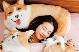 《柯基枕頭套》每天在柯基的包圍下入眠這是天堂嗎...❤ 《柯基枕頭套》每天在柯基的包圍下入眠這是天堂嗎...❤