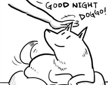 讓人淚崩的《寵物插畫》想要永恆的愛?養條狗吧♥