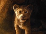 迪士尼「沒有人的真人版《獅子王》」網路激辯這樣還算是真人版嗎? 迪士尼「沒有人的真人版《獅子王》」網路激辯這樣還算是真人版嗎?