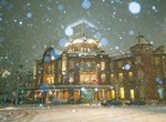 《日本東京大雪讓東京車站好像歐洲車站》大家很守規矩的排隊拍照留念 《日本東京大雪讓東京車站好像歐洲車站》大家很守規矩的排隊拍照留念