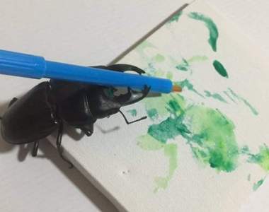 另類萌寵物《鍬形蟲》Spike也有想成為偉大畫家的夢想