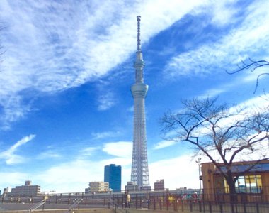 你去過了幾個呢《外國人到訪東京觀光排行榜》還有推薦體驗類別的排行呦