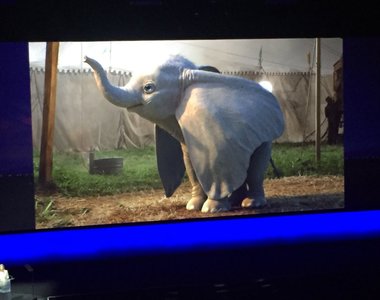 《小飛象真人版》首張「真象圖」 公開 電影2019年3月上映