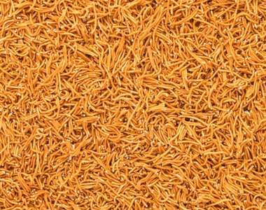 直接放棄《找出模範生點心餅》連員工都無法過關的超難遊戲