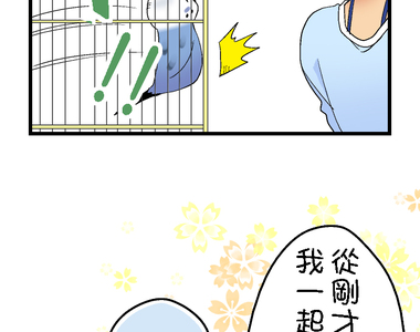 小鸚鵡飼養日記 第29話