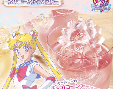 《美少女戰士模具盒》想冰塊做成銀水晶還是要把巧克力做成銀水晶都不成問題