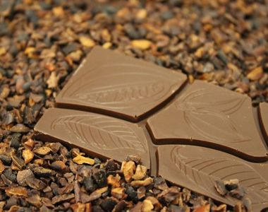 《巧克力怎麼來的》這是全世界最重要的一種作物...