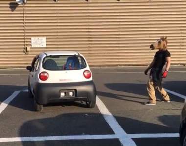 《馬的創意停車法》不擅長停車的人或許可以試試這種停法ww 