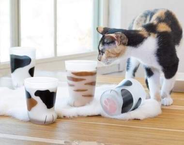 鏟屎官荷包不保《VILLAGE VANGUARD貓腳玻璃杯》杯底有萌萌肉球等你按唷