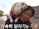 TV動物農場《站在肩膀上的狗》因為一個原因打死不從肩膀上下來 TV動物農場《站在肩膀上的狗》因為一個原因打死不從肩膀上下來