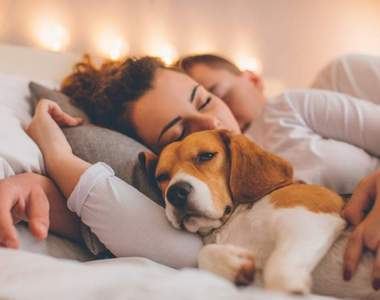 越睡越香《跟寵物一起睡覺有助睡眠》不擔心睡不著只擔心起不來w