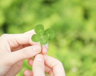 靠幸運賺錢《賣四葉幸運草的男人》月收入竟可高達3百萬台幣？